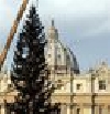 SAPIN DE NOEL AU VATICAN SAPIN DE NOEL AU VATICAN