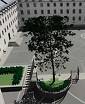 cour_vieux_seminaire_arbre.jpg cour_vieux_seminaire_arbre.jpg