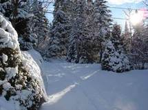 Regard en avant : l'hiver prépare l'été...