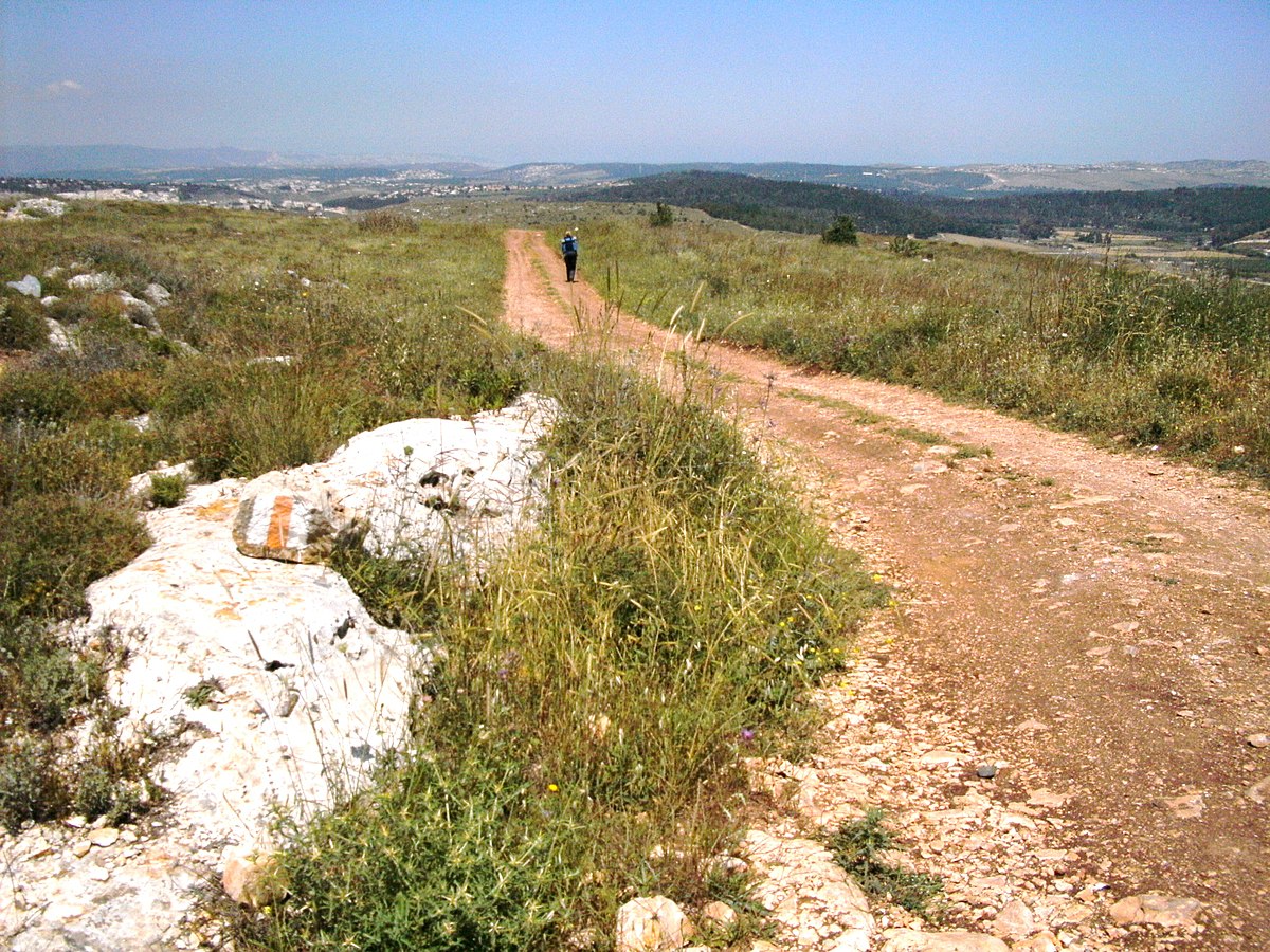Sur les routes de Galilée... (Domaine public Zeromancer44 via Wikimedia Commons)