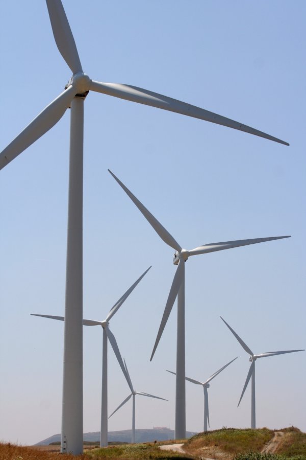 Énergie éolienne : de bonnes nouvelles pour le Séminaire de Québec