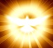Homélie pour le Dimanche de la Pentecôte Année C : « Comme un violent coup de vent » 