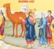 Homélie pour le 28e dimanche du temps ordinaire Année B (Marc 10, 17-27) : « Viens et suis-moi »