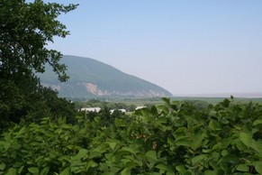 Le Cap  Tourmente vu de la terrasse Thomassin au Petit Cap