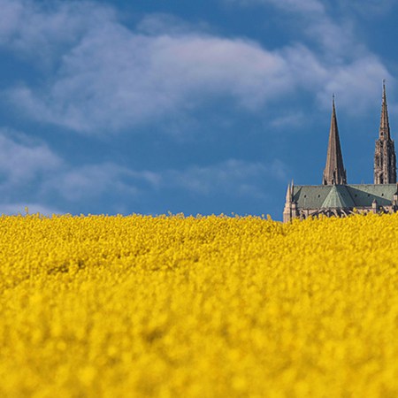 Homélie pour le 11e dimanche du temps ordinaire Année B : La semence et la graine de moutarde 
