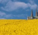 Homélie pour le 11e dimanche du temps ordinaire Année B : La semence et la graine de moutarde 
